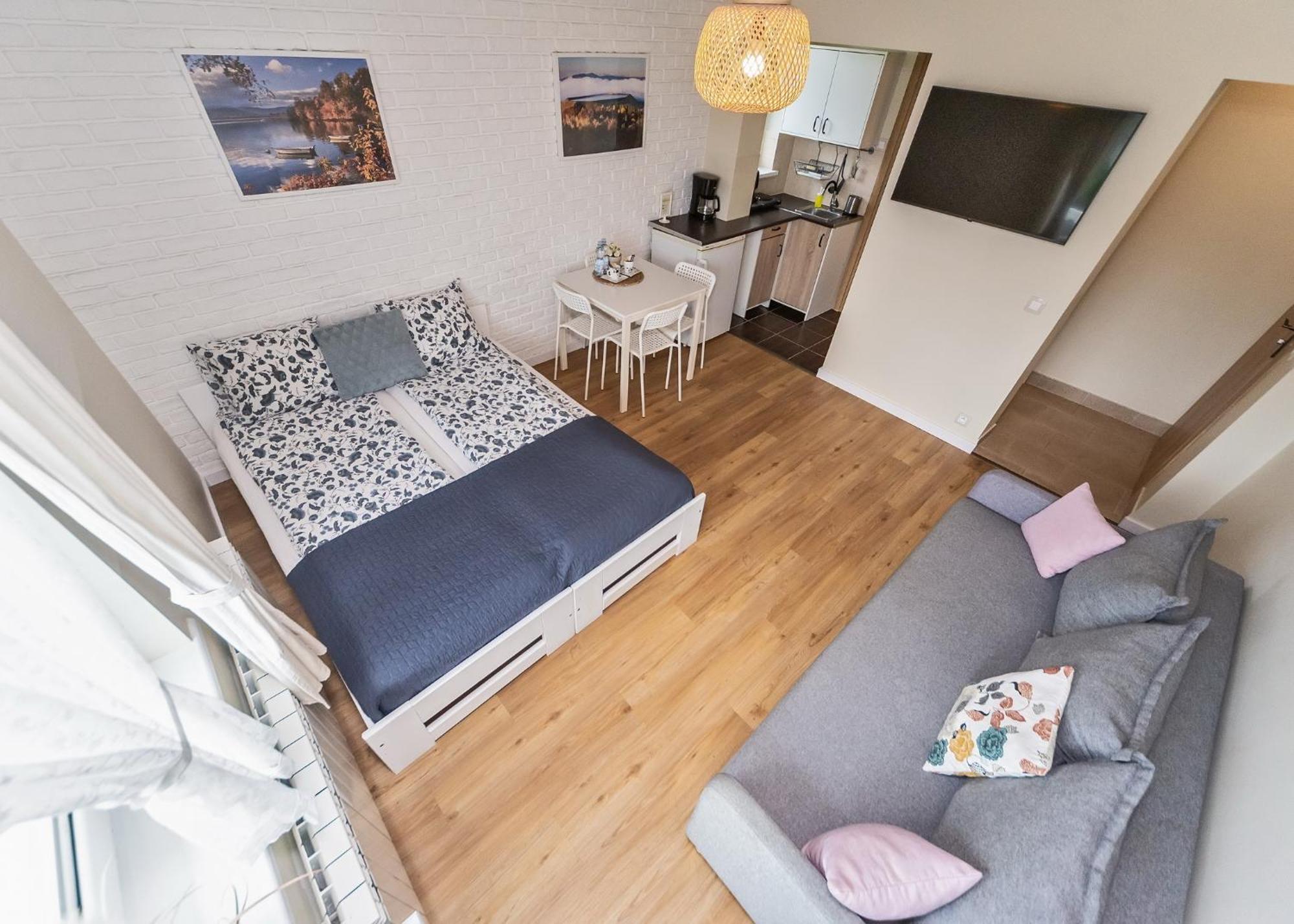 Willa Aleksandra - Apartamenty ミエンジブロジェ・ジビエツキエ エクステリア 写真
